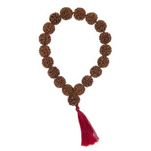 印度国际直邮Ashram Rudraksha 五面子菩提18+1手串Mala 14-16mm