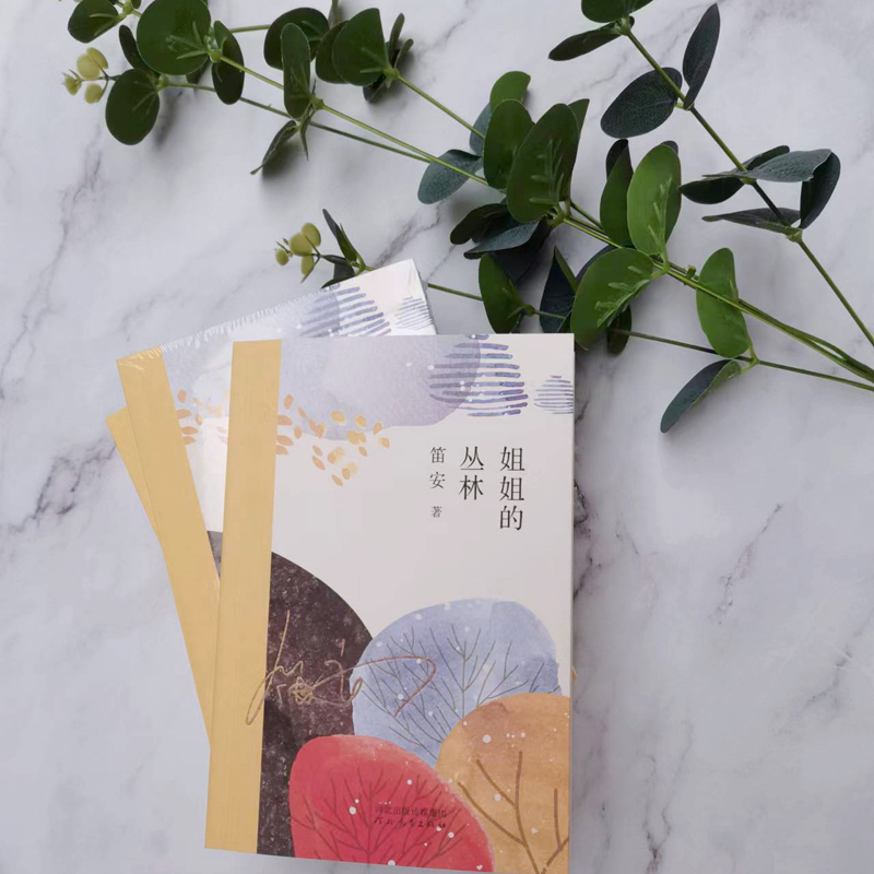 姐姐丛林笛安河北教育出版社