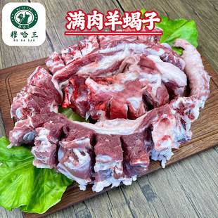 穆哈三清真新鲜羔羊肉整条满肉羊蝎子火锅多肉原切带骨散养滩羊肉
