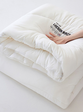 LIIESEN丽笙韩国进口超细旦A类奢柔云感豆乳被双人柔软春秋被冬被