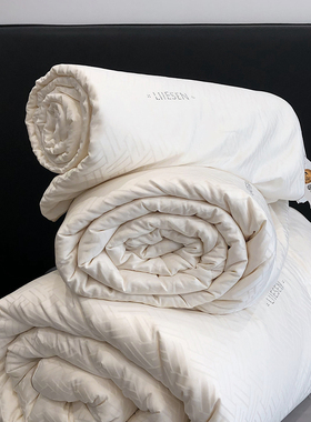 LIIESEN丽笙A类抗菌软糯大豆被子被芯加厚冬被春秋被夏薄被保暖被
