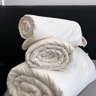 LIIESEN丽笙A类抗菌软糯大豆被子被芯加厚冬被春秋被夏薄被保暖被
