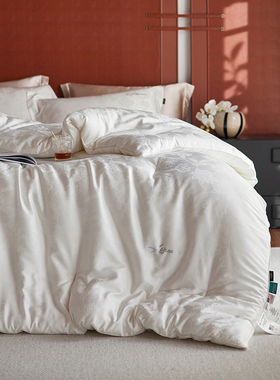 LIIESEN丽笙阿卡丽Naia醋酸纤维恒温被秋冬被加厚冬被被芯双人被