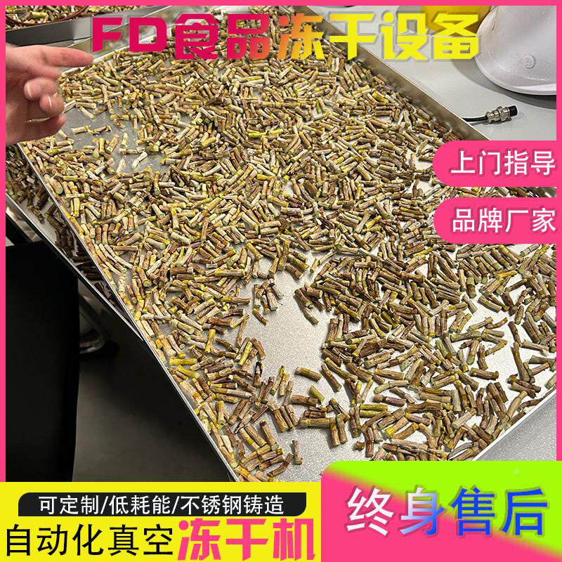 骨胶干面膜冻干机冻真空原冷冻干PTD燥干机代餐奶茶火龙果脆冻设