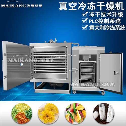 厂家销售无花果真空冻干机 商用桑葚真空干燥机 全自动低温冻干机