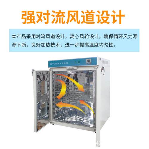 广州101-4/4五谷杂粮烘箱恒温鼓风食品烤箱电热数显干燥箱