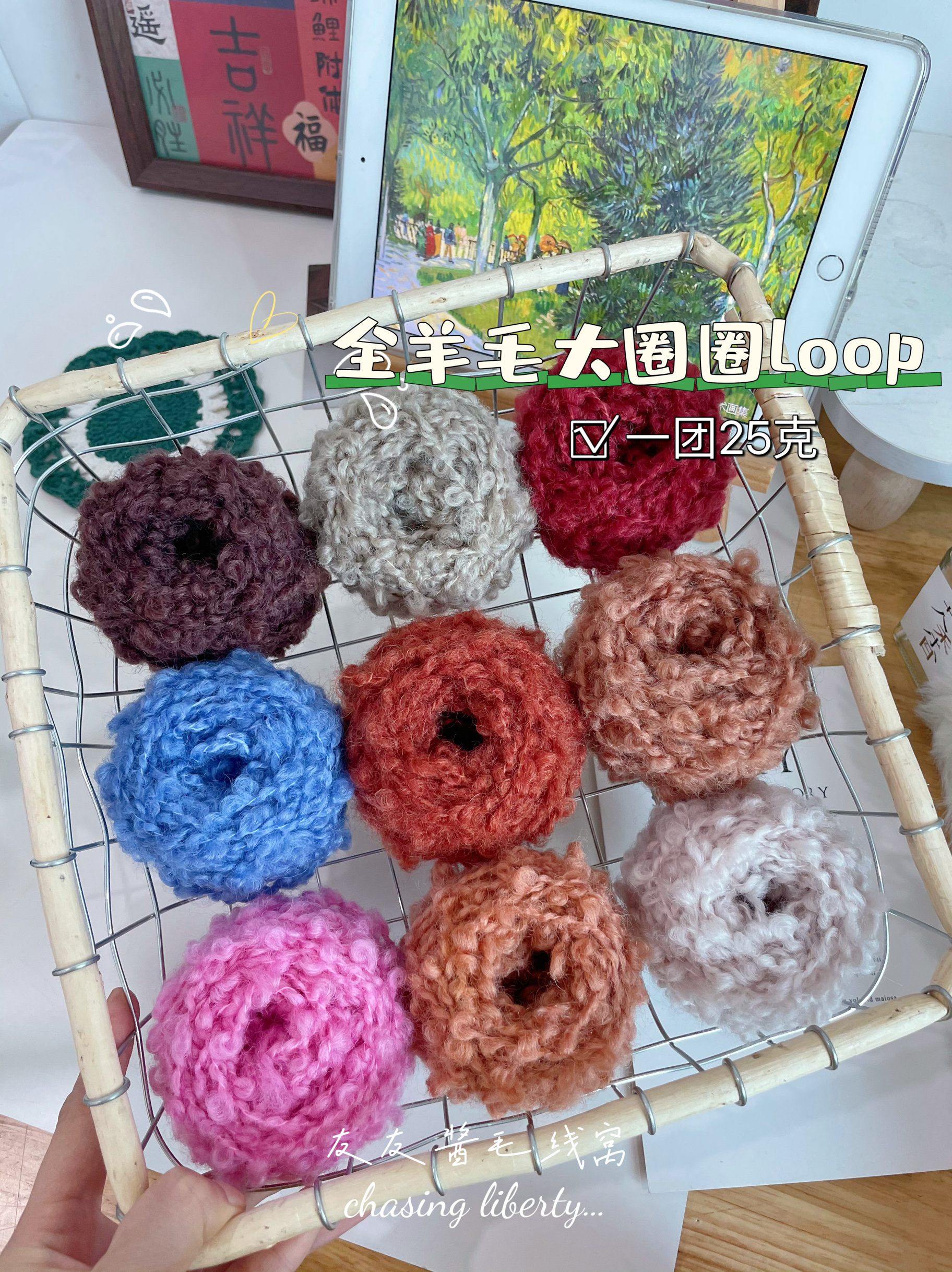 进口全羊毛线LOOP羊驼毛圈圈线毛衣围巾玩偶头发戳戳乐毛线25克