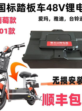 踏板车可拆卸小葡萄款T901款48V12AH20AH锂电池爱马台玲同款外壳