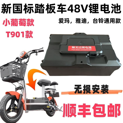 小葡萄T901踏板车48V锂电池