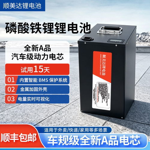 48V60V72V磷酸铁锂电摩锂电池