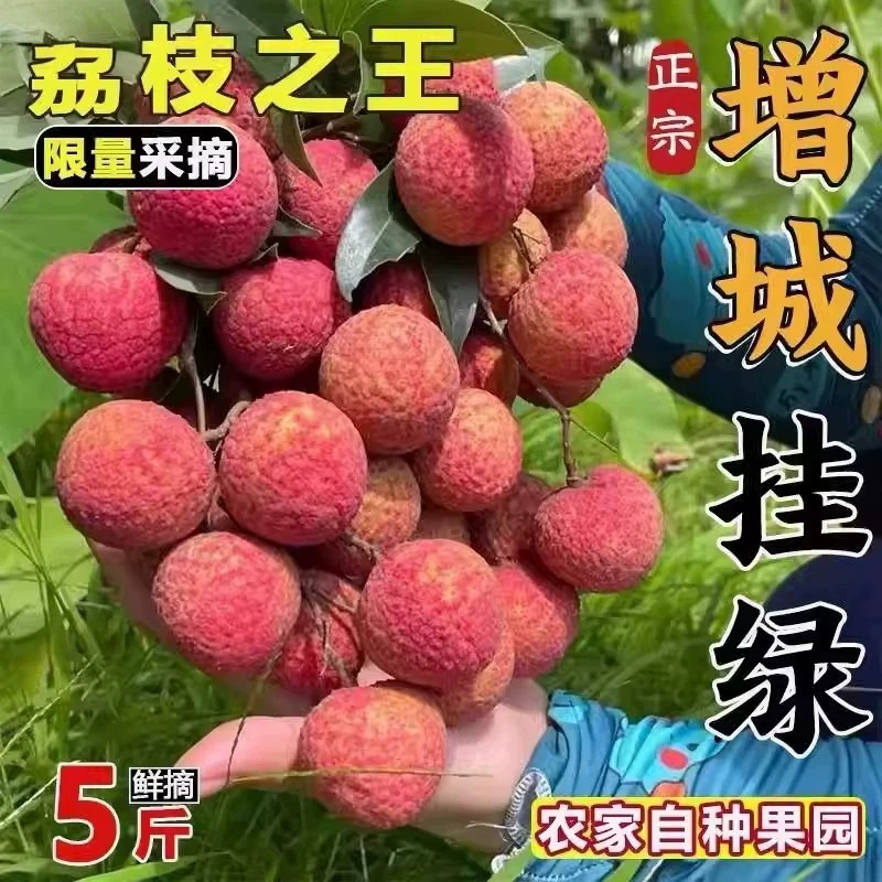 2026正宗特级广东增城挂绿荔枝当季新鲜现摘时令水果整箱顺丰包邮