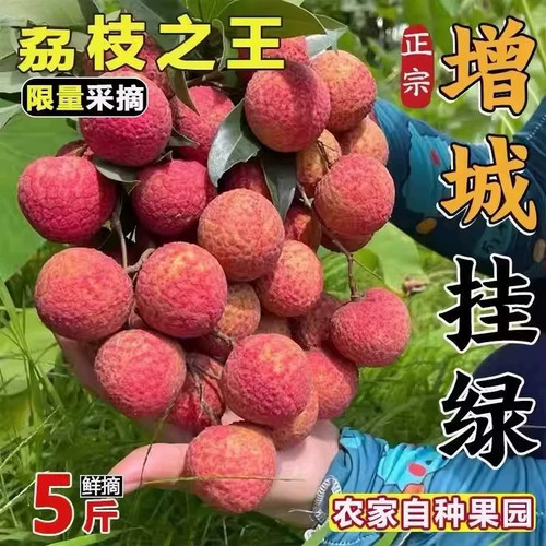 2026正宗特级广东增城挂绿荔枝当季新鲜现摘时令水果整箱顺丰包邮