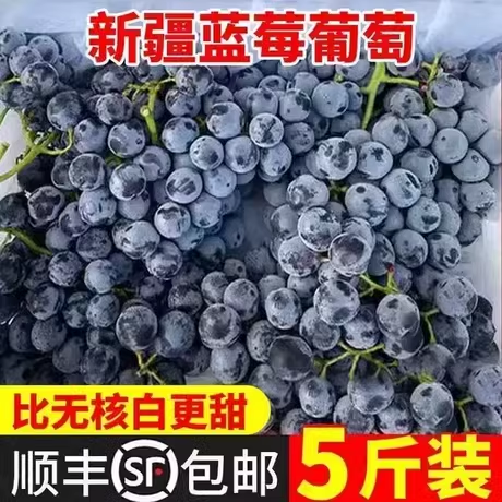 顺丰正宗新疆蓝莓葡萄无籽黑提子新鲜现摘脆甜口夏黑巨峰葡萄包邮 水产肉类/新鲜蔬果/熟食 葡萄/提子 原图主图