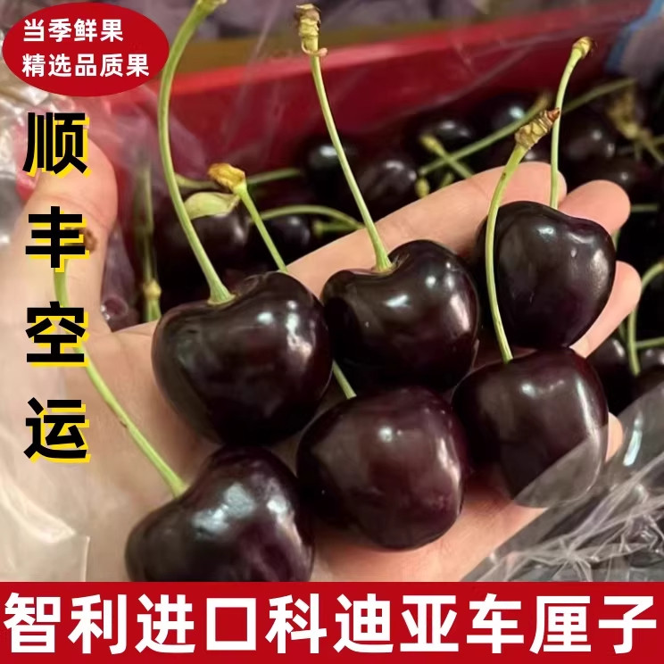 澳洲车厘子kordia空运塔州科迪亚4J黑车高端水果顺丰礼盒包邮樱桃,水产肉类/新鲜蔬果/熟食,车厘子/樱桃,淘宝优惠券,粉丝福利购,淘宝优惠卷