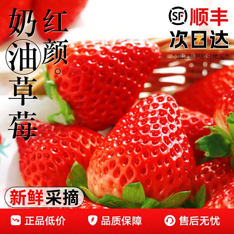顺丰云南草莓新鲜99红颜牛奶奶油商用酸草莓水果当季现摘