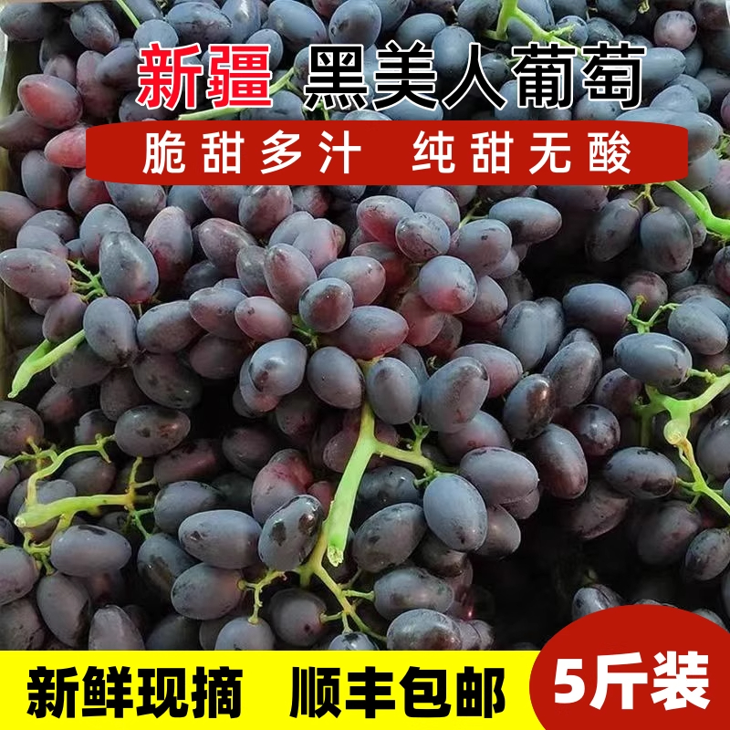 正宗新疆吐鲁番无核紫葡萄黑美人葡萄当季新鲜现摘无籽黑加仑提子
