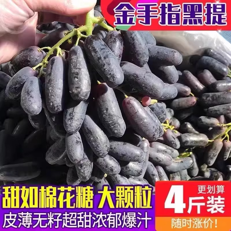 澳洲金手指葡萄蓝宝石黑提无籽提美人指当季新鲜水果顺丰包邮