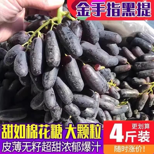 澳洲金手指葡萄蓝宝石黑提无籽提美人指当季新鲜水果顺丰包邮