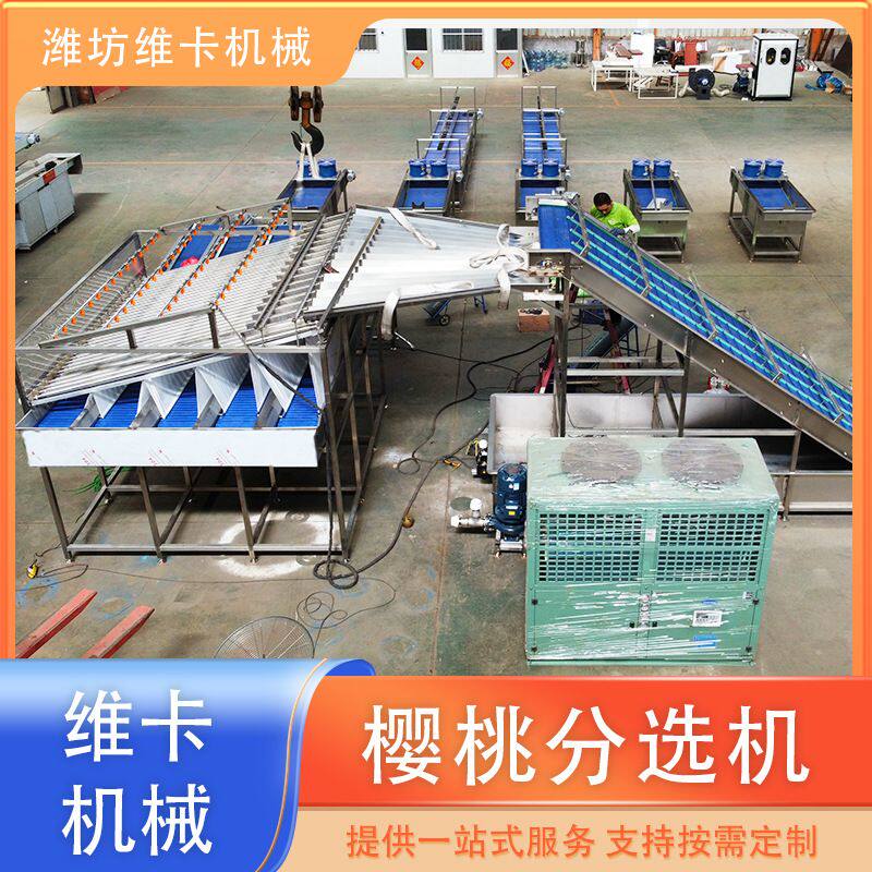 种植户 樱桃高效分选机 水果工厂车厘子分选设备
