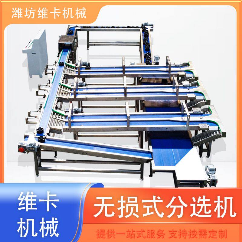 释迦果选果机 砀山梨无损分选机 水果分拣机价格苹果分级机厂家