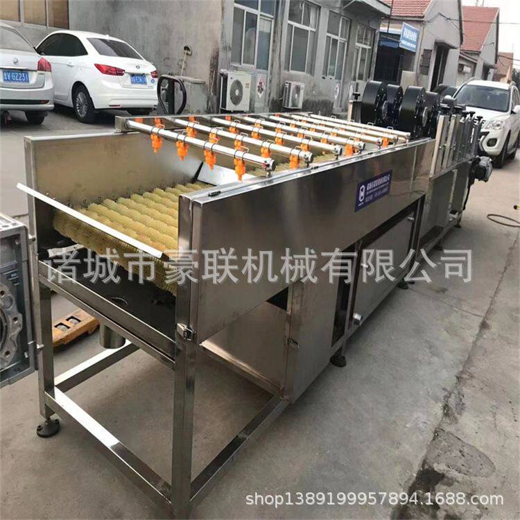 肉类毛辊清洗机 猪头去黑炭清洗机 羊蹄表皮处理毛刷冲洗设备