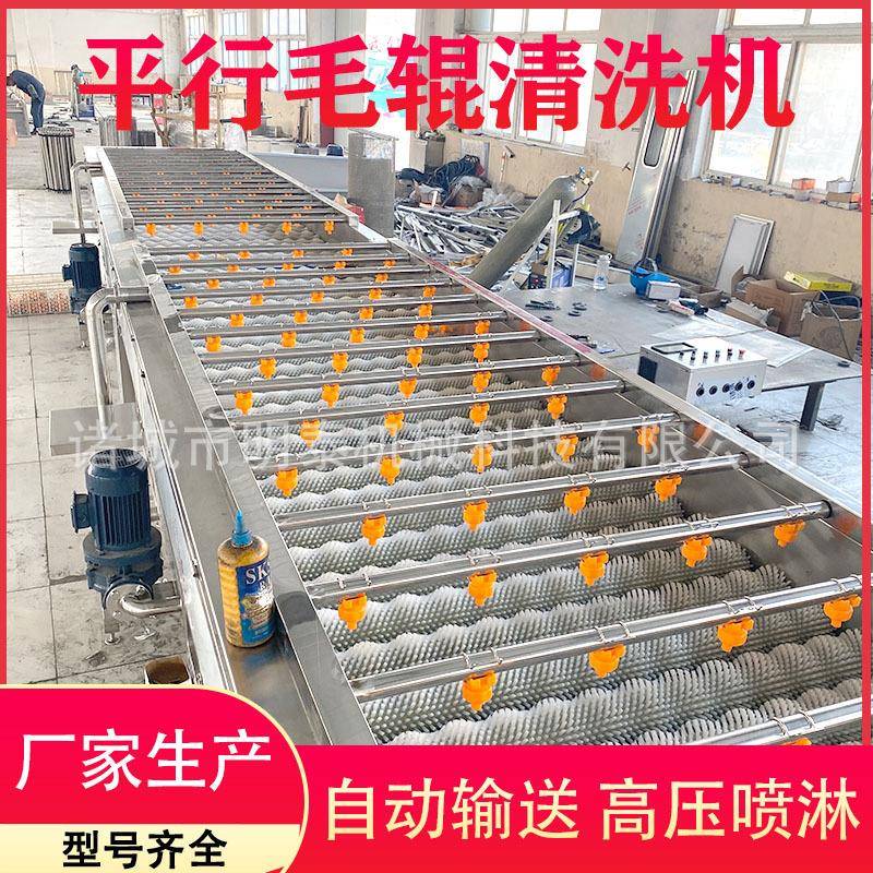 贝壳类海鲜平行毛辊清洗机海蛎子扇贝清洗去杂设备柑橘金桔洗果机