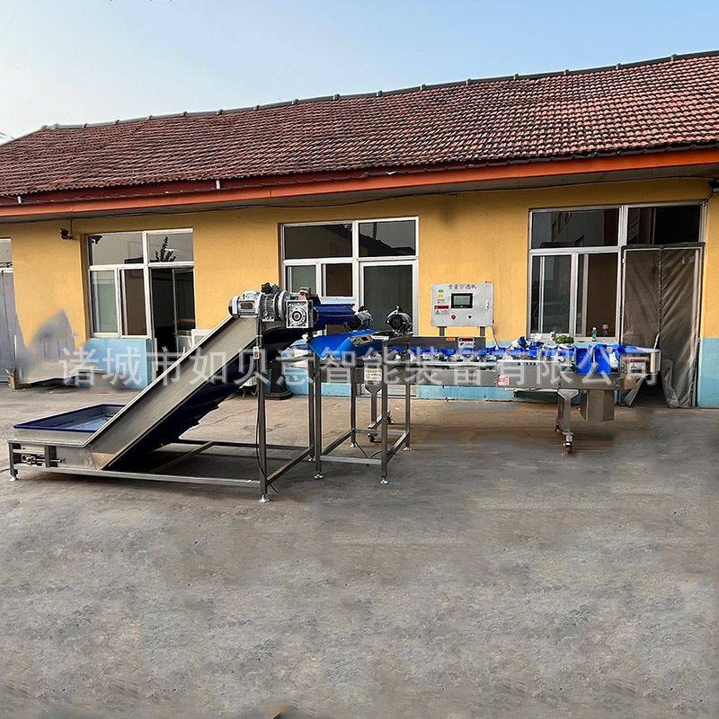 重量分级机鲅鱼鲳鱼黄花鱼大虾在线称重分选机鱼类智能自动分拣机,清洗/食品/商业设备,选果机/分选机,淘宝优惠券,粉丝福利购,淘宝优惠卷