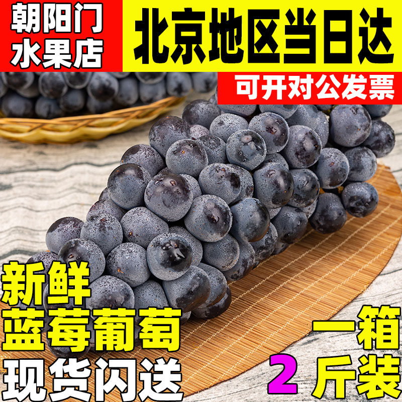 新鲜蓝莓葡萄2斤云南特产大串蓝宝石葡萄当季时令孕妇水果