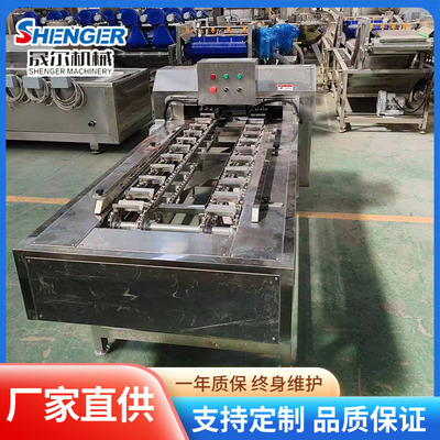 玉米分段机器 甜糯玉米棒切头去尾切断机 自动连续水果玉米分割机