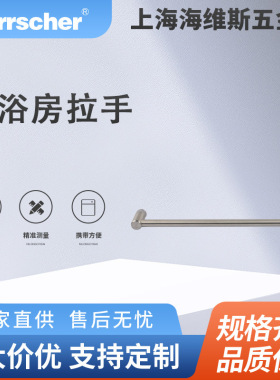 海维斯Herrscher淋浴房拉手SRD01047环保酒店住宅淋浴房门拉手