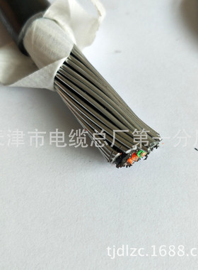 SYV32铠装视频线缆 钢丝铠装 质量保障