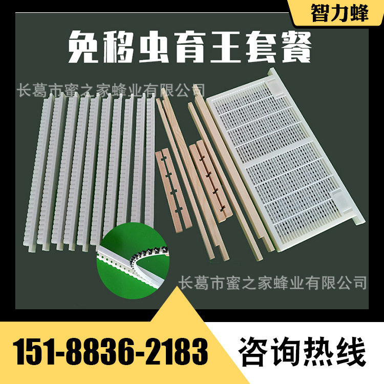 【免移虫育王设备】塑料王浆条 木质浆框双排 穿底育王条套餐批发