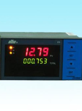 DY2000 DY21L2620LP流量积算仪DYII