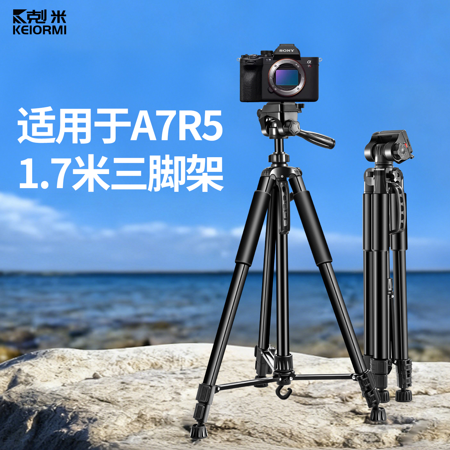 三脚架便携易携，稳定抗风不晃