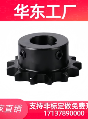 链轮BSP40B/50B/60B/SP40B10/11/15/16/18/19/20/21/22-N12/15/20