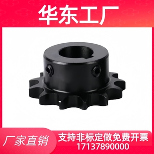 链轮BSP40B/50B/60B/SP40B10/11/15/16/18/19/20/21/22-N12/15/20