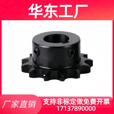 链轮BSP40B/50B/60B/SP40B10/11/15/16/18/19/20/21/22-N12/15/20