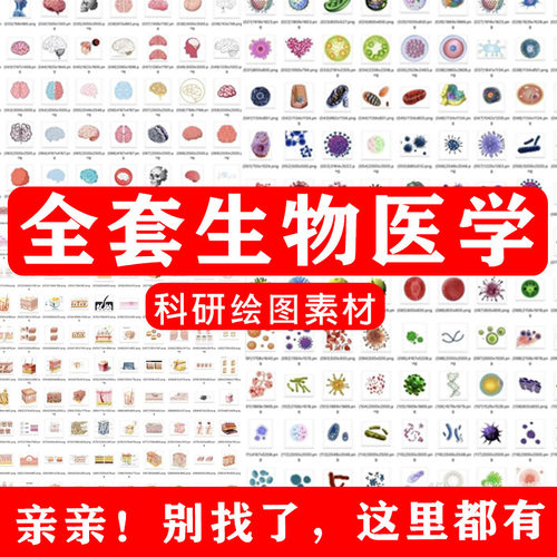 ppt科研绘图素材全套生物医学可编辑插图细胞流程图通路图模型