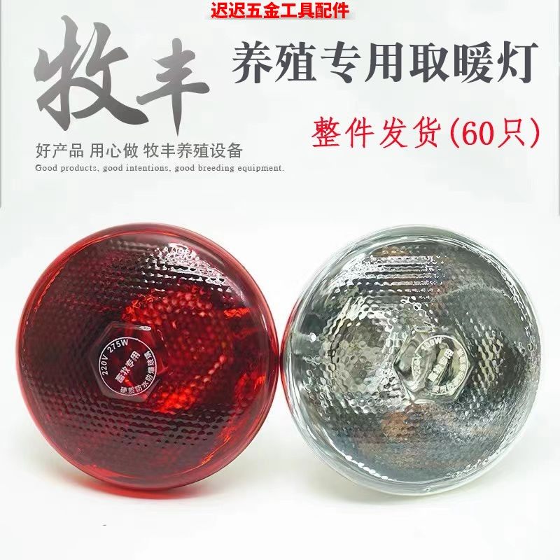 猪用保温灯养殖取暖灯小鸡烤灯保温灯泡仔猪取暖灯泡猪场养殖用,畜牧/养殖物资,特种养殖设备,淘宝优惠券,粉丝福利购,淘宝优惠卷