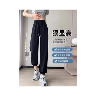 春秋夏季 女新款 2024运动裤 薄款 高腰垂感灯笼裤 子宽松休闲束脚卫裤