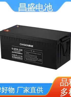s昌盛优6-GF-230up不间断电源直流屏配电柜胶体电池M821品质良