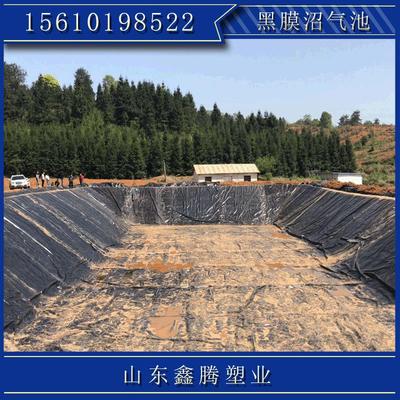 养殖场沼气池设备 规格齐全 大型软体沼气池 HDPE土工膜