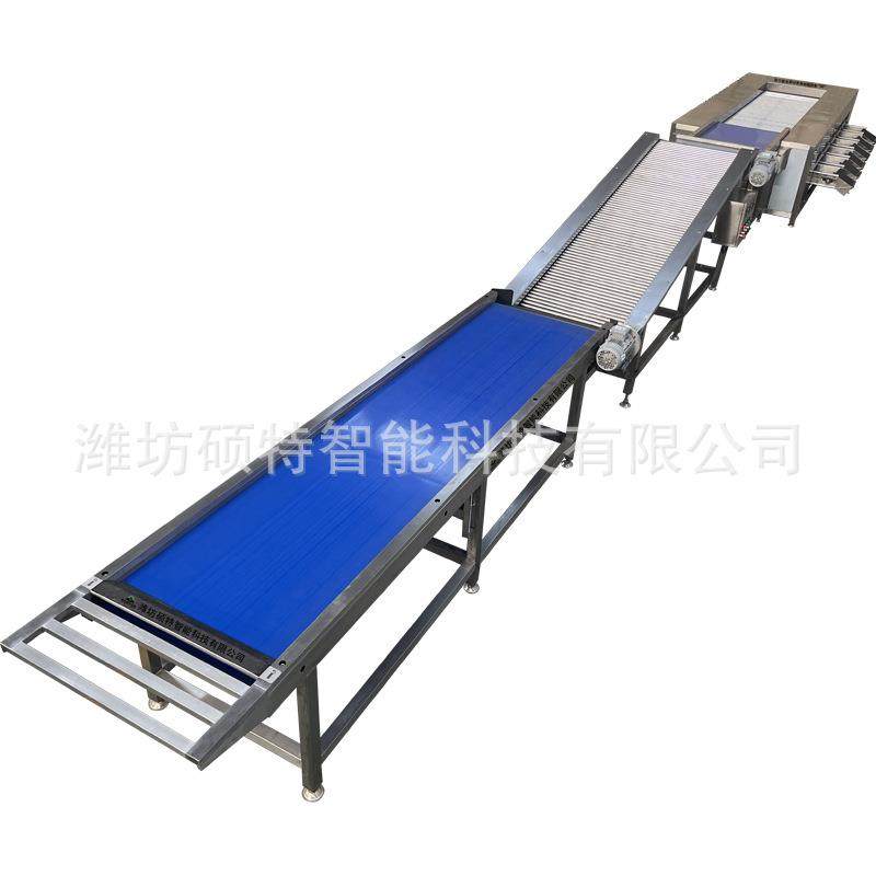 大荔枣枣分选机全自动滚杠切肉机式分拣机不锈钢冬枣效率快,清洗/食品/商业设备,肉制品加工设备,淘宝优惠券,粉丝福利购,淘宝优惠卷