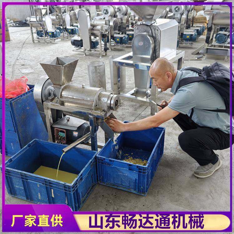 工业生姜大蒜菠萝榨汁机果蔬渣汁分离机商用桑葚火龙果鲜榨果汁机