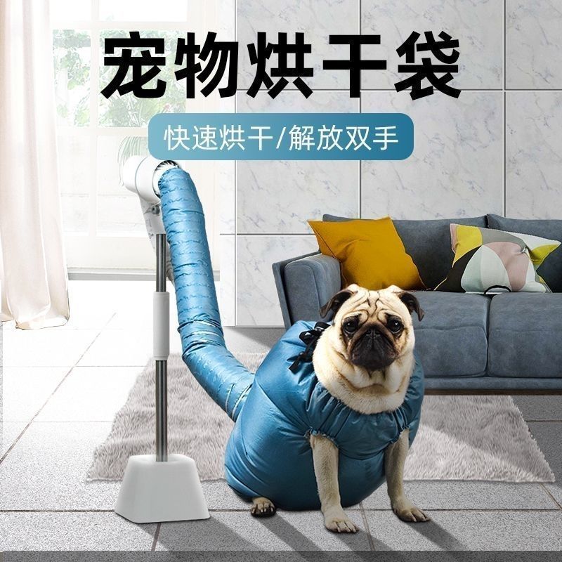 宠物烘干狗狗洗澡大型犬柯基家用猫咪全自动吹风机吹干神器