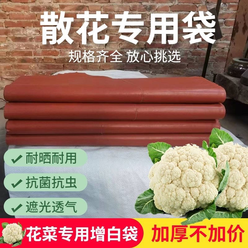 散花套袋菜花专用纸袋防晒防虫防水防霜冻松花西兰花套袋口袋