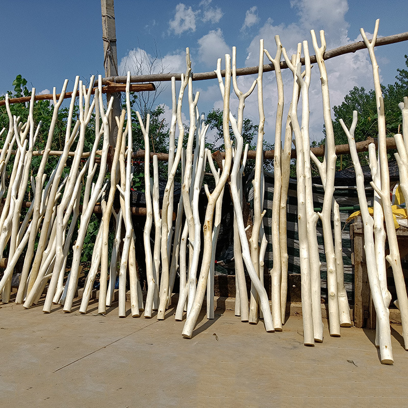 干树枝装饰去皮原木天然造型艺术衣架衣挂木棍带分叉干花挂衣架树