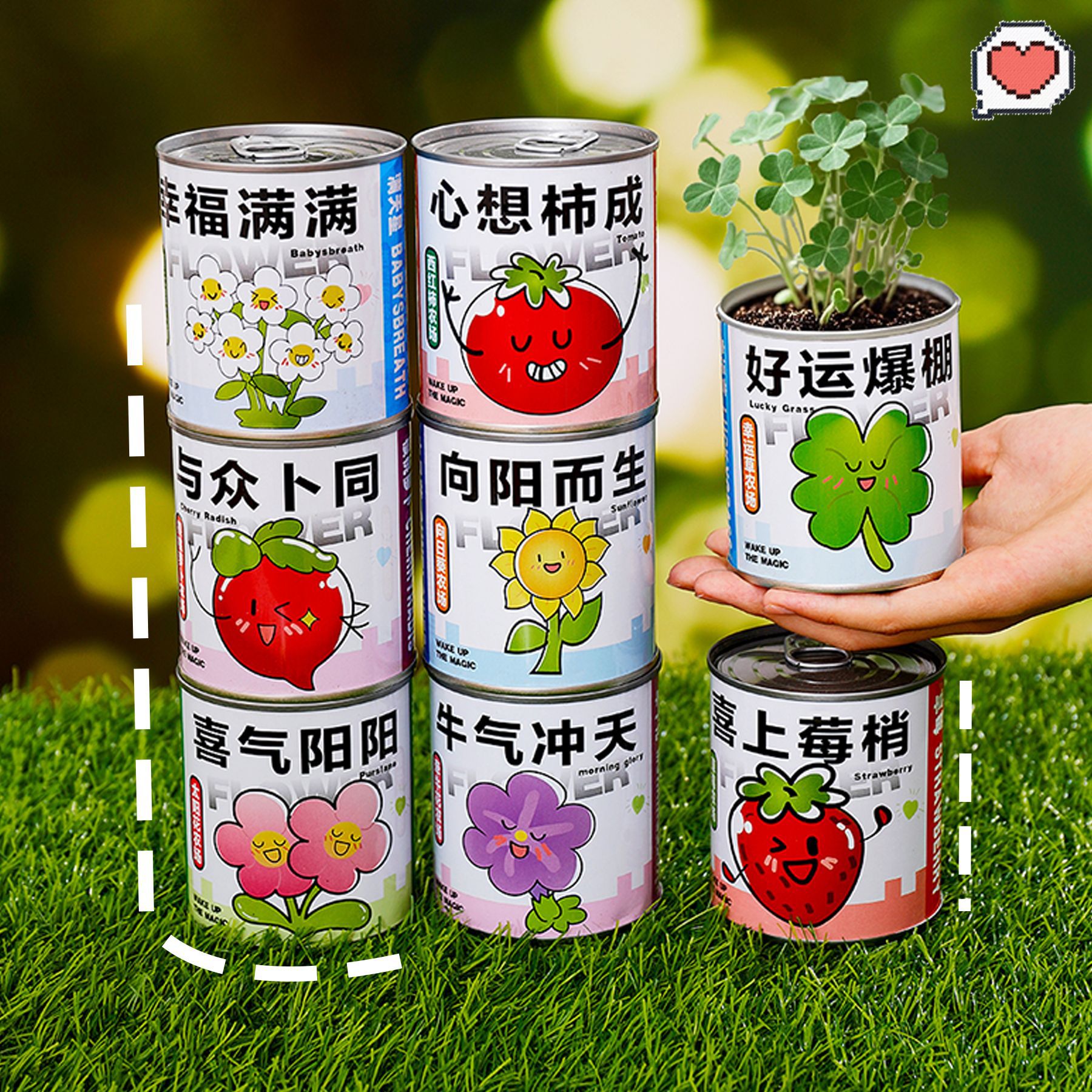 生种植盲盒礼品创意手工植物罐头
