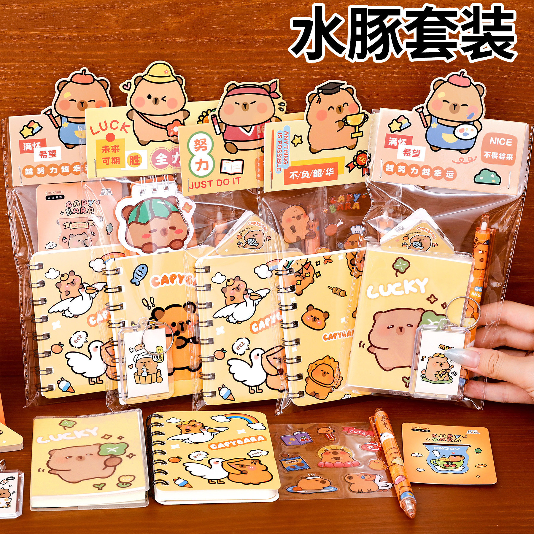 可爱奖励礼盒高颜值水豚伴手礼开