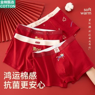 全棉母婴纯棉本命年红色内裤青少年男童儿童a类中大童软正品12岁